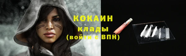 молекула духа Белокуриха