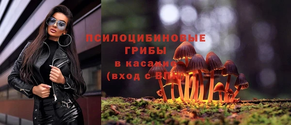 первитин Беломорск