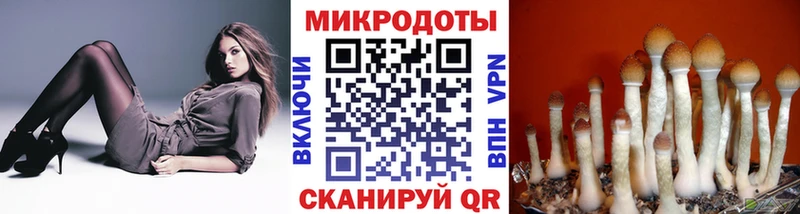 mega как войти  Йошкар-Ола  нарко площадка формула  Галлюциногенные грибы Psilocybe 